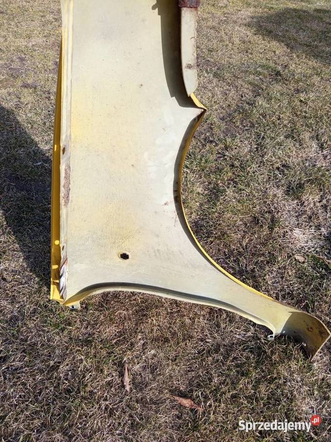 Błotniki L P Seicento Sporting