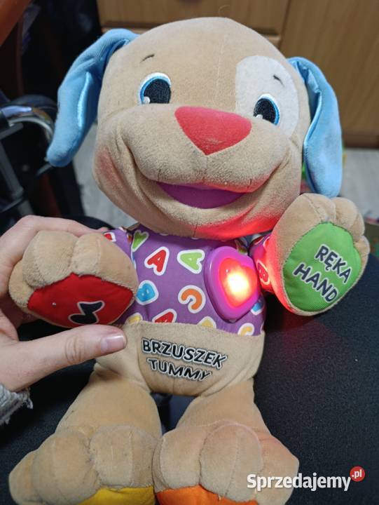 interaktywna pluszowa zabawka edukacyjna Fisher Poznań