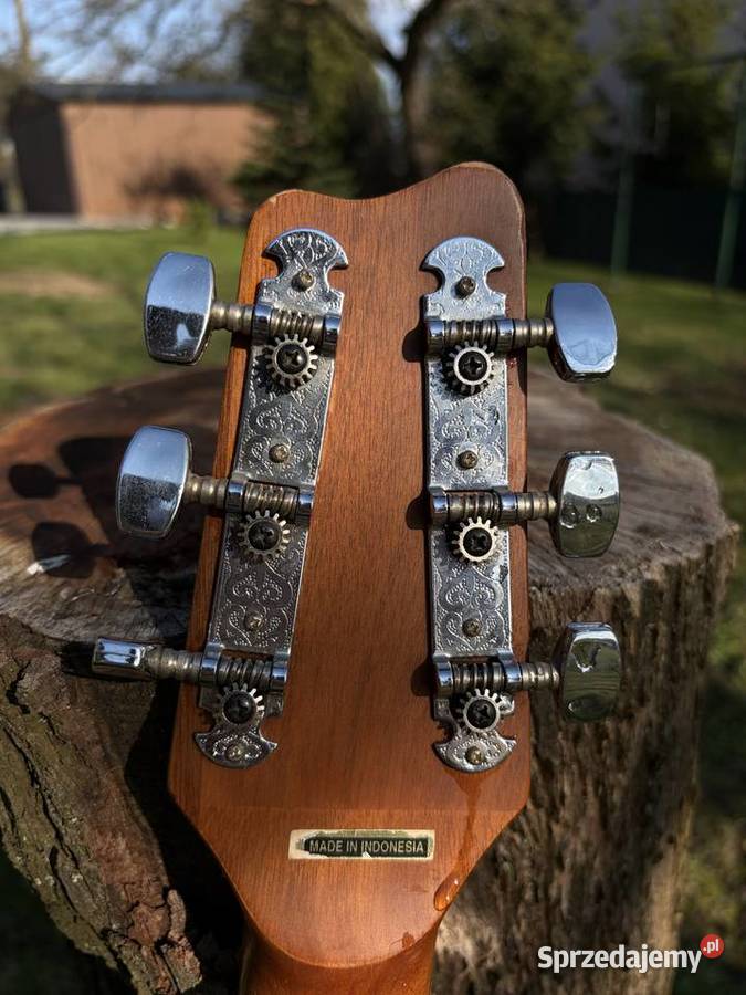 Gitara Akustyczna SAMICK Pozostałe Siedlec