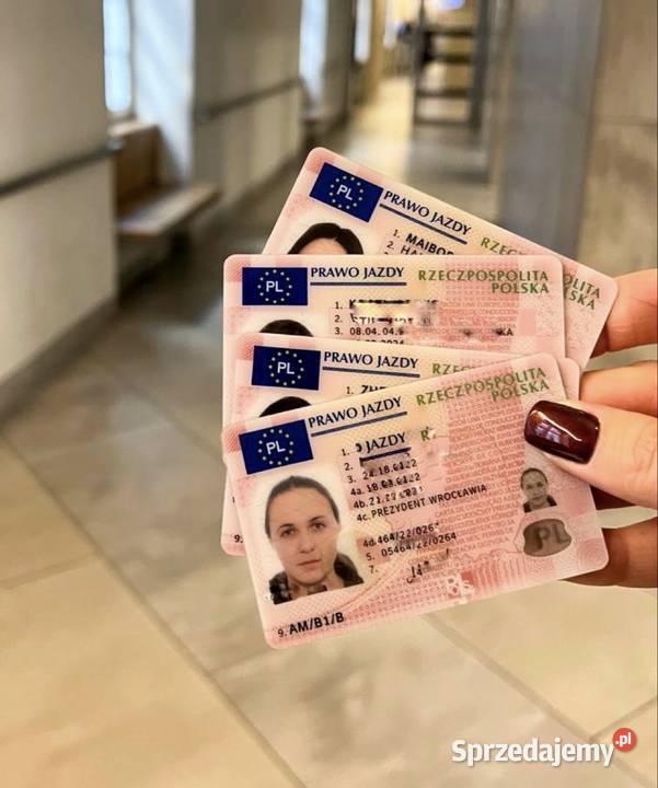 Wiza paszport Pozostałe