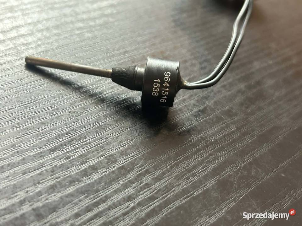 Czujnik temperatury palnika Vitodens 100W Grabówka