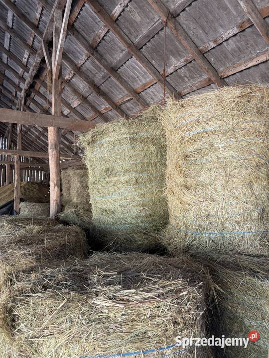 Sprzedam Siano bele duża ilość mazowieckie Kolno