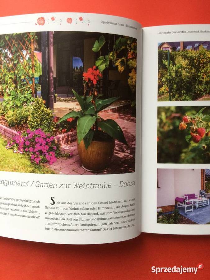 2709 Ogrody Szczecin