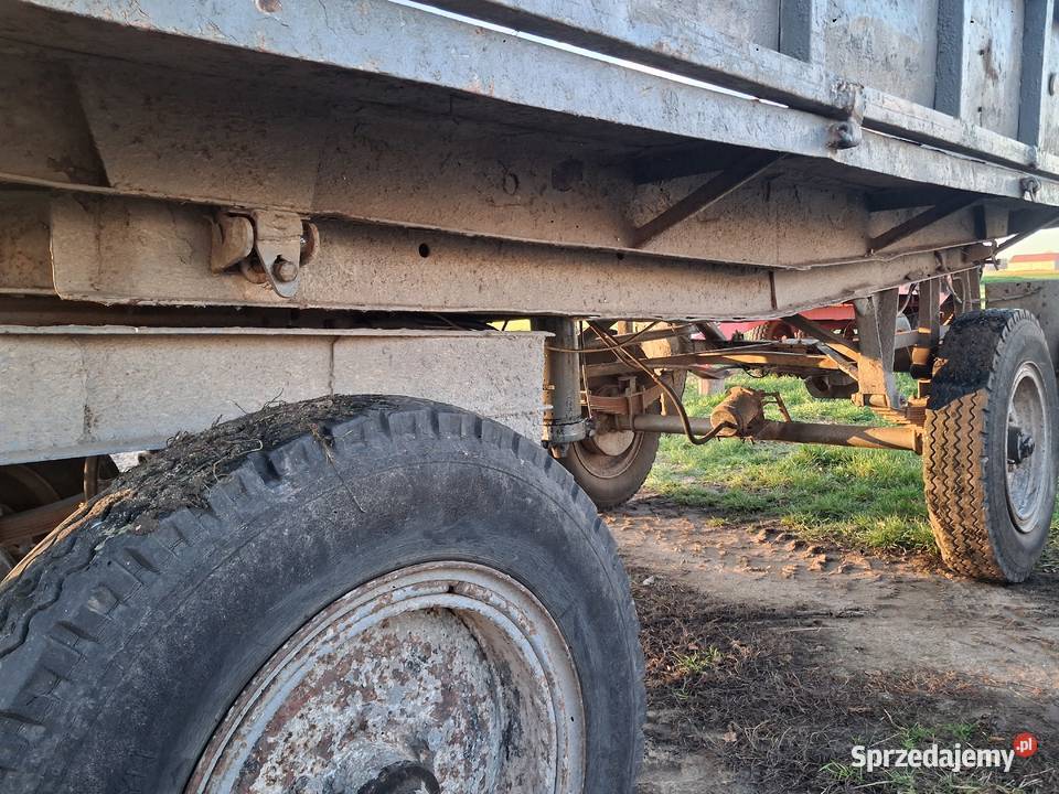 Przyczepa D47 zarejestrowana Szumowo