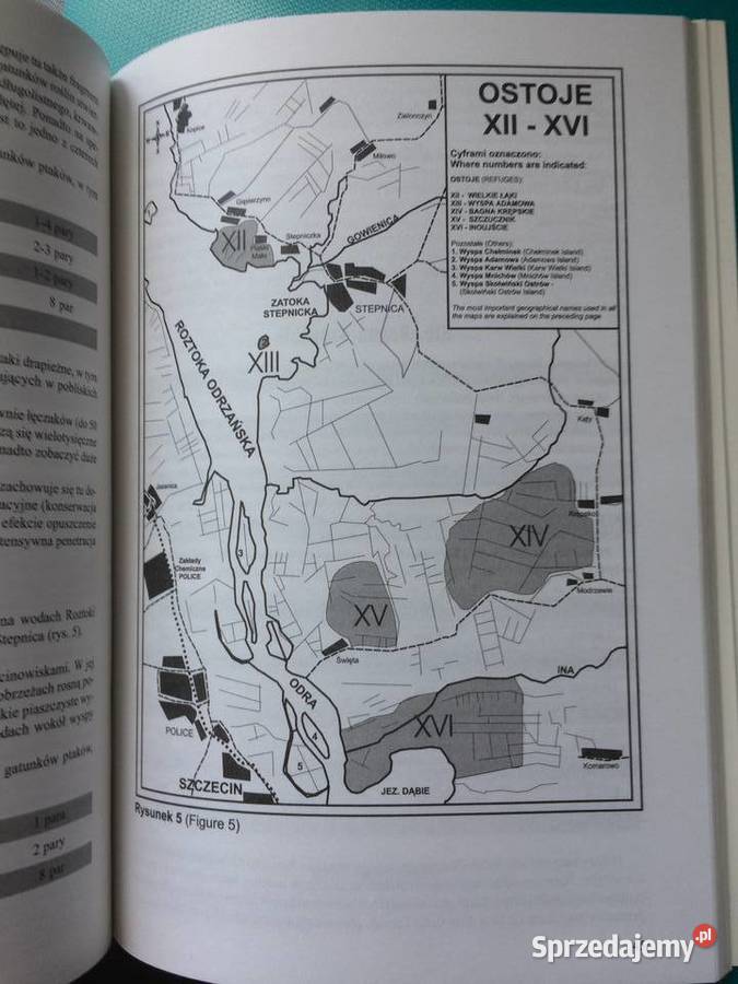 3431 Ostoje Ptaków W Pol Części Zalewu Szczecin sprzedam