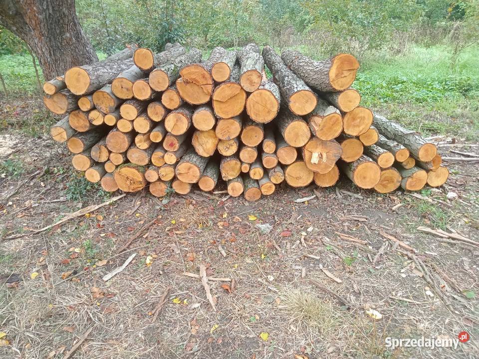 Sprzedam drewno opałowekominkowe Rudna