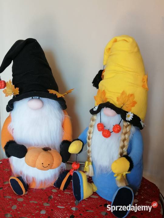 Para skrzatów siedzących jesienno zimowych Katowice