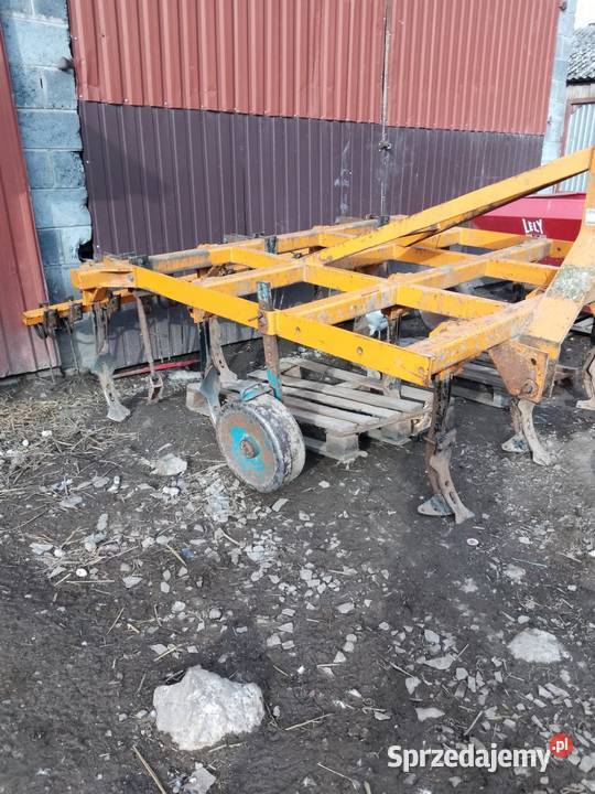 Gruber 11 łap Modliborzyce