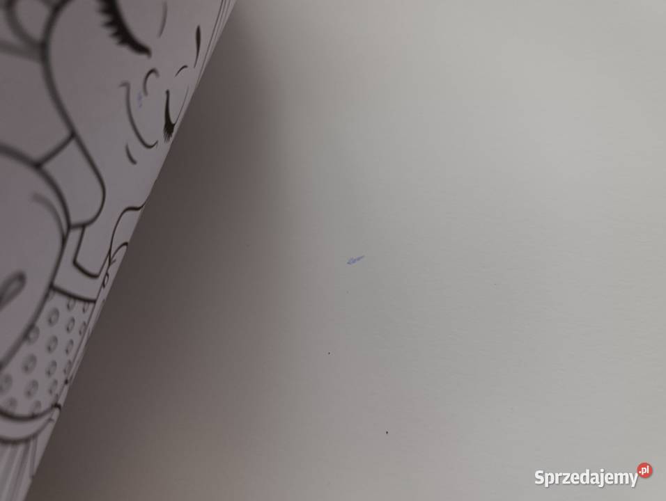 Kolorowanka z motywem księżniczek Kwidzyn