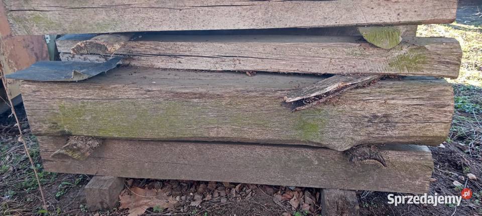 Dąb leżakowany warmińsko-mazurskie Nowe Miasto Lubawskie