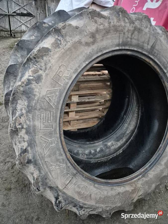 Opony rolnicze Goodyear 169 r38 Wielkolas