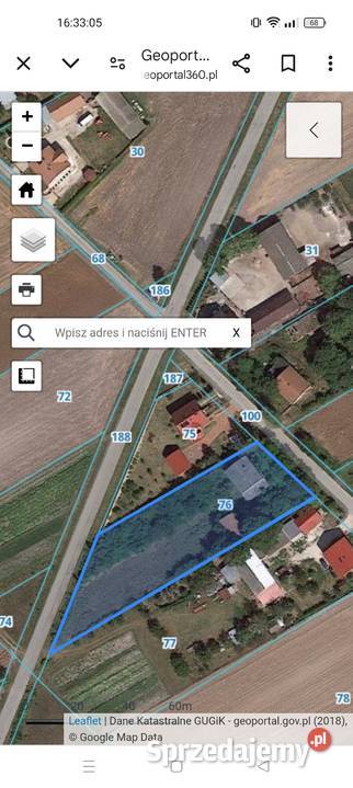 Pole działki
