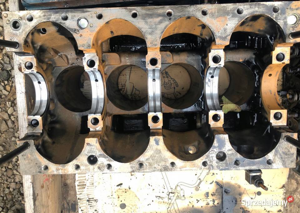 Blok tłoki komplet Vanguard Daihatsu DM 950 DTH Pozostałe Kłobuck