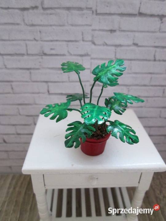 Monstera do domku lalek Lalki i akcesoria Bogatynia
