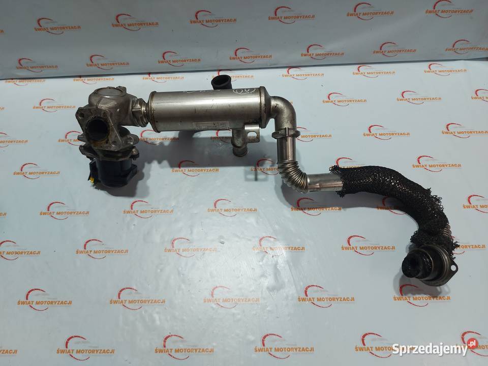 MAZDA 3 FORD 16 CITD Y6 7M5Q6007FB 110 Kielce