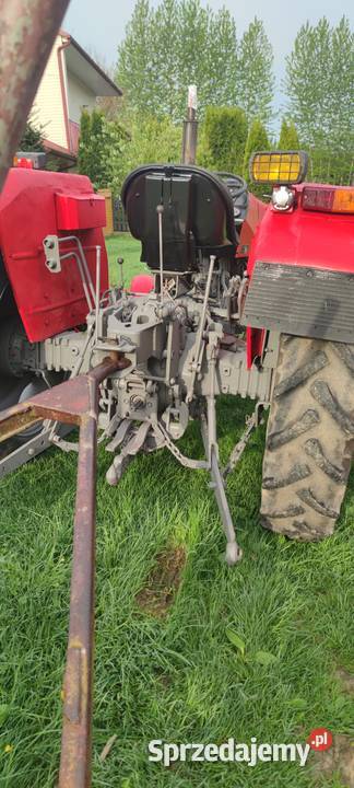 Sprzedam Straszydle sprzedam