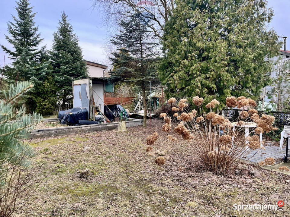 Działka ROD Bukowskiej 17m Poznań