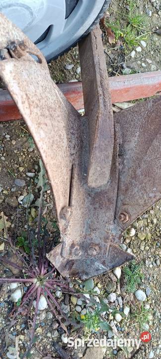 Redła wielkopolskie Kalisz