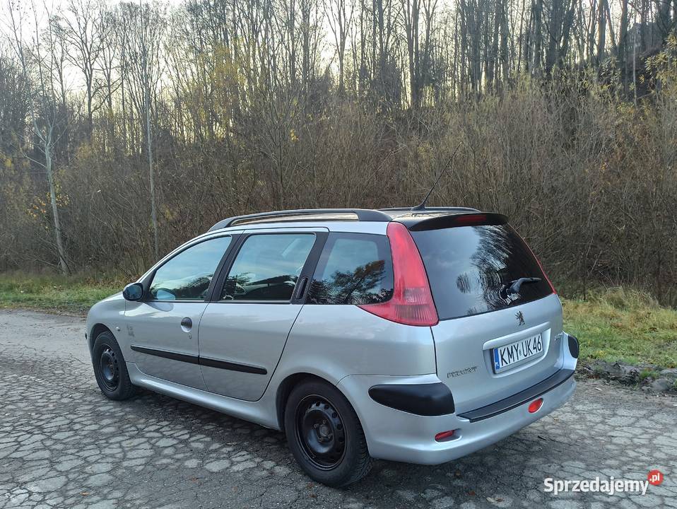 Peugeot 206 14 lpg Rok produkcji 2004