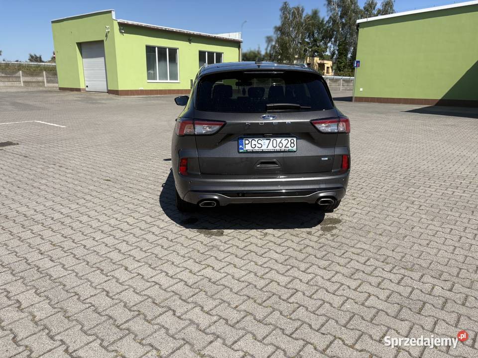 Ford Kuga 25 plug in hybrid nieuszkodzony Poniec sprzedam