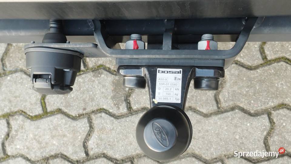 Ford Transit 20L EcoBlue 155165 MY202475 nieuszkodzony