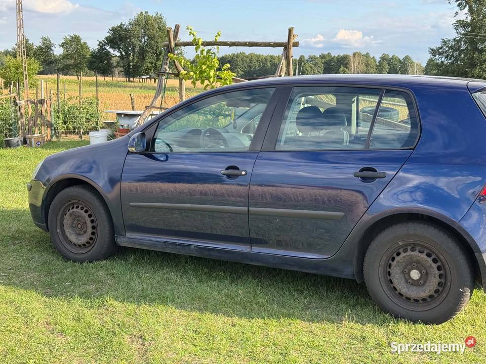 Golf 5 V 19TDI 90 łódzkie Wróblew
