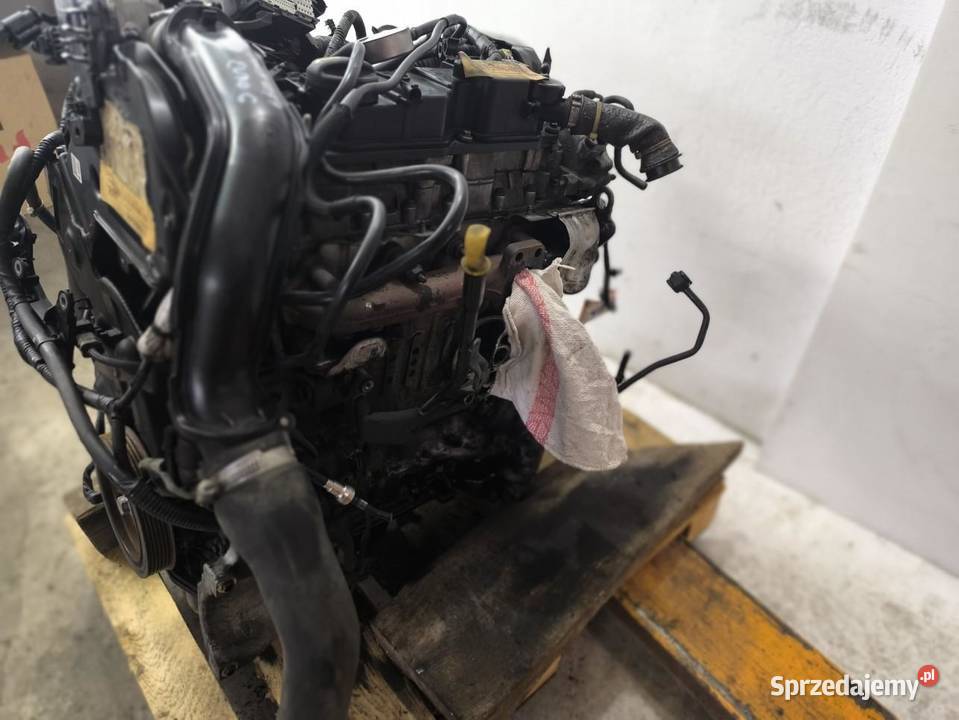 SILNIK KOMPLETNY FORD FOCUS MK3 LIFT 15 TDCI 120 Silniki kompletne wielkopolskie