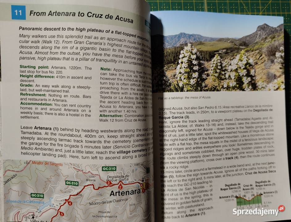 Gran Canaria Izabella Gawin Rother j angielski Rok wydania 2015 sprzedam