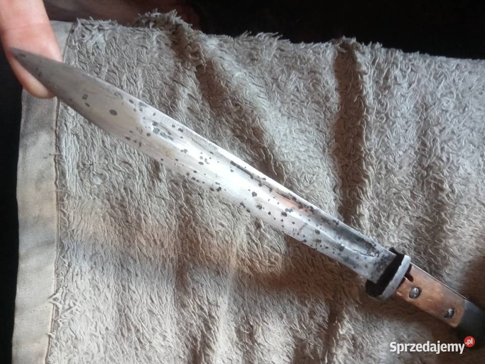Polski bagnet Perkun Warszawa orzeł WP z pochwą Militaria Grójec
