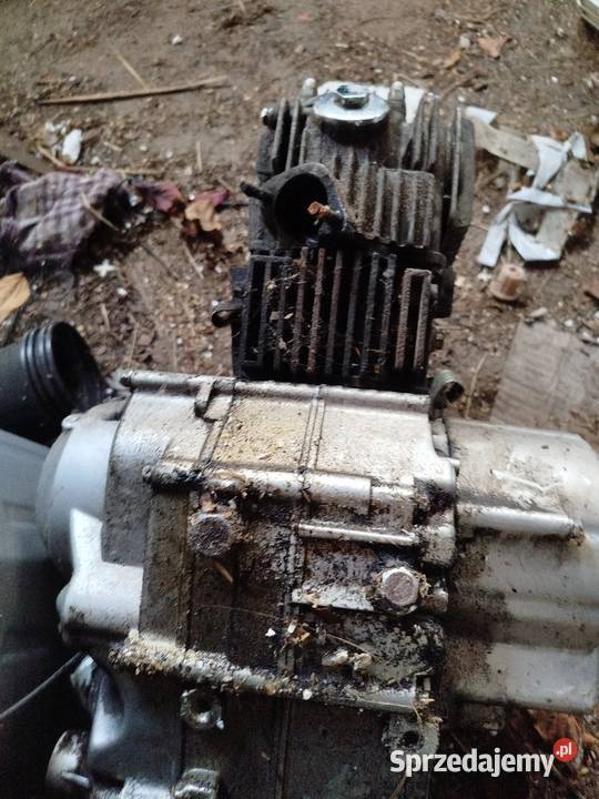 Silnik do Quada o pojemności 110 wielkopolskie Wronki