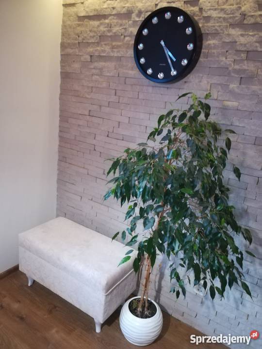 Pufa Ławka pawie kwiaty Stalowa Wola sprzedam