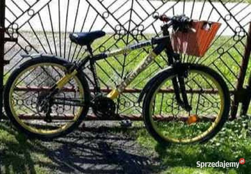 Rama do roweru ALU 26 Sport i Wypoczynek Sosnowiec