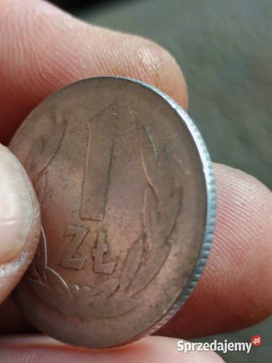 Sprzedam 1 zl 1957 qqqq Chełm