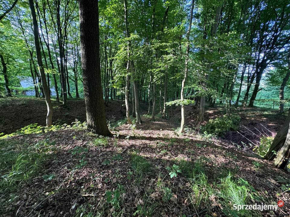 działka budowlana obok jeziora Żywiec