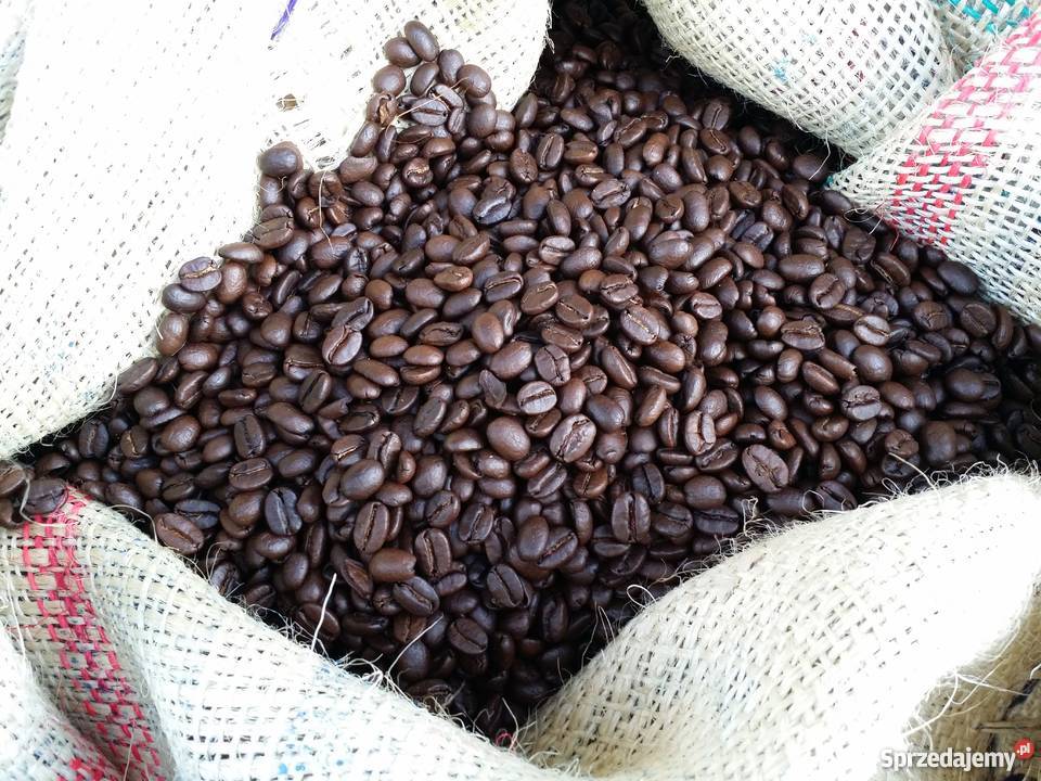 Palarka Kawy Prażalnik bębnowy Piec Spożywczy do Nowy Sącz