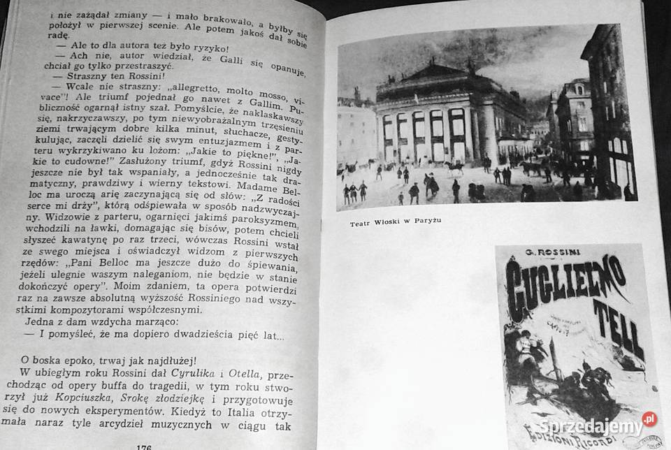 Divino maestro Powieść o Rossinim Arnaldo Pozostałe Chełm