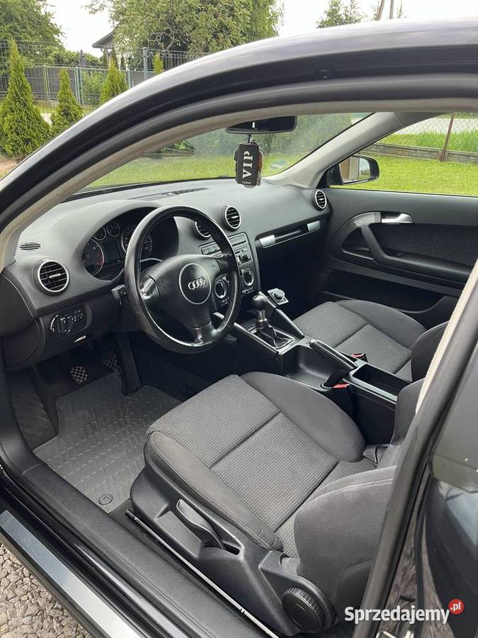 Audi A3 8p 16mpi Radom