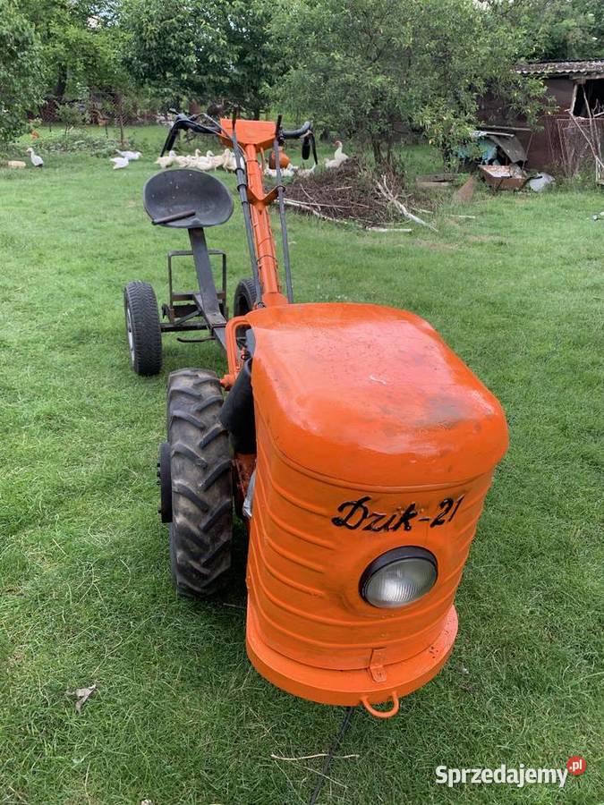 DZIK 21 Jarosław