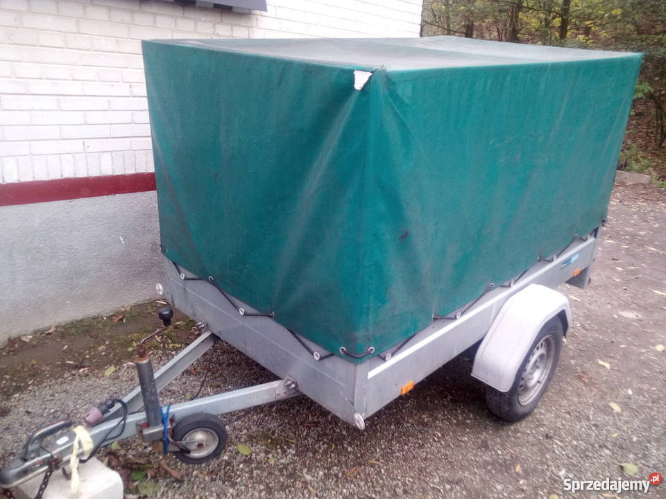 Przyczepka Thule S4 stan b 1 Nowa Słupia