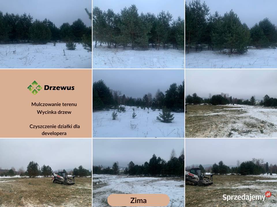 Mulczowanie nieużytków wycinka drzew i krzewów Karczowanie i usuwanie drzew Karczowanie i usuwanie drzew pomorskie Gdańsk