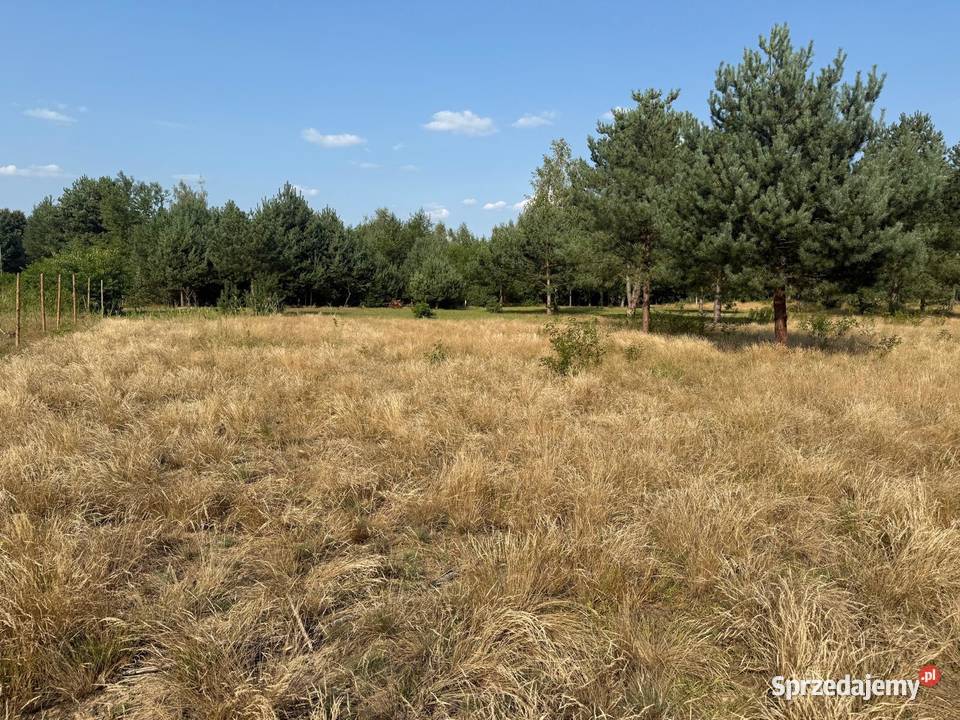 Działka z dostępem do jeziora Sumino