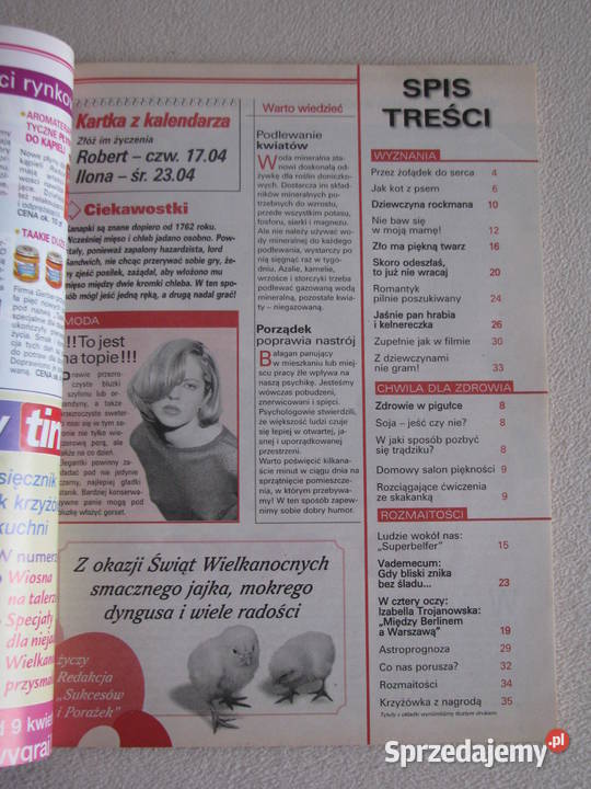 Sukcesy i porażki 2003 2019r Brzegi