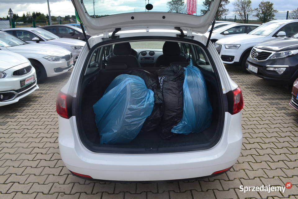 Seat Ibiza z Niemiec OPŁACONA Zgorzelec