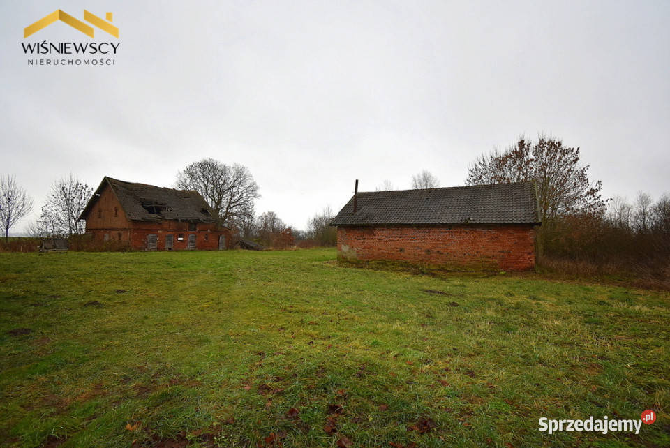 Siedlisko 9400m2 dom dwa budynki gospodarcze Głotowo