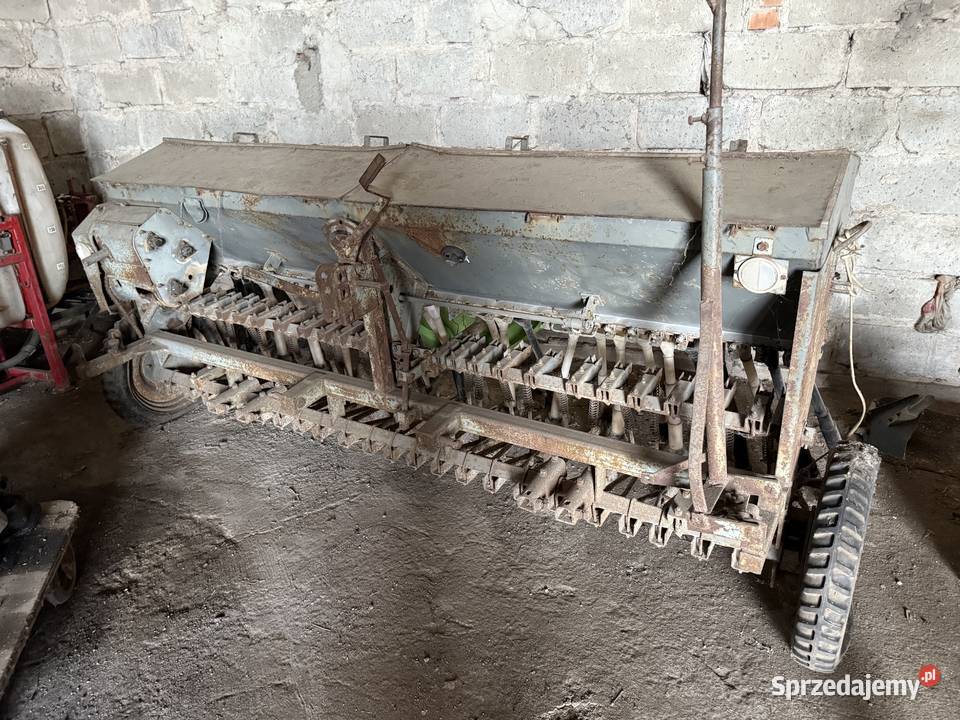 Siewnik Poznaniak s056