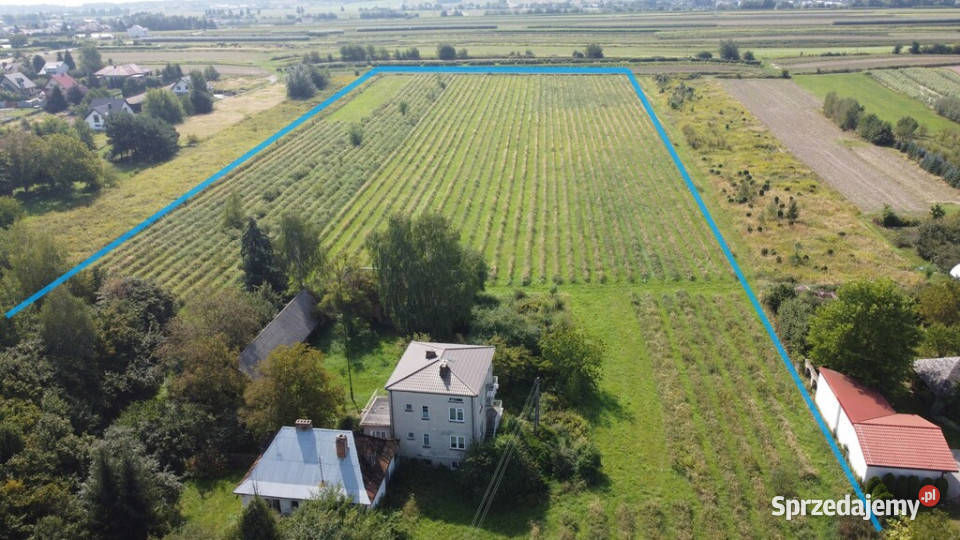 Działka z wykonanym podziałem w Końskowoli asfalt Końskowola sprzedam