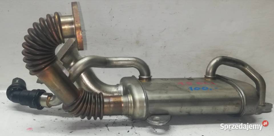 Chłodnica Spalin Renault 15 DCI 147358238R świętokrzyskie