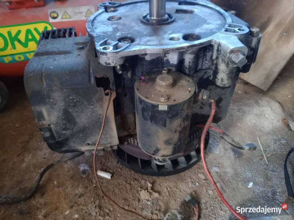 Uszkodzony Silnik Briggs Stratton 10 HP na