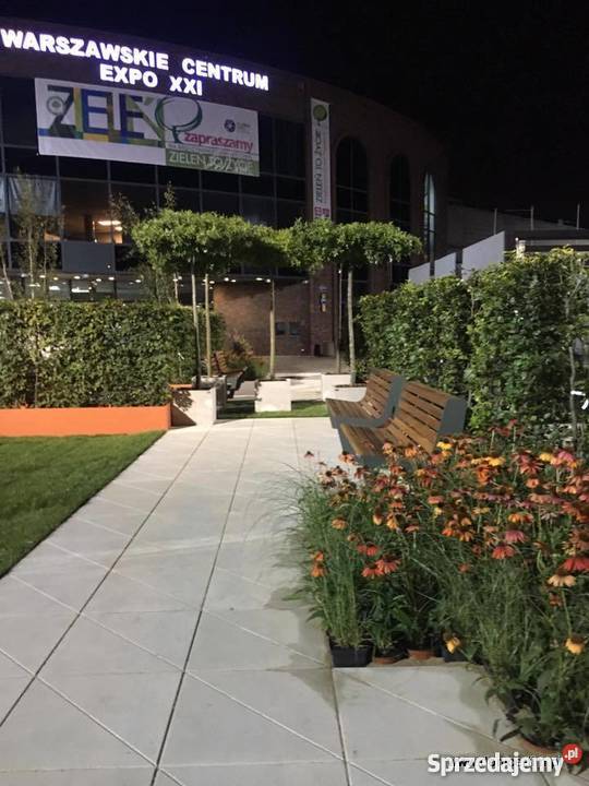 Duża donica na drzewo kujawsko-pomorskie Gajewo