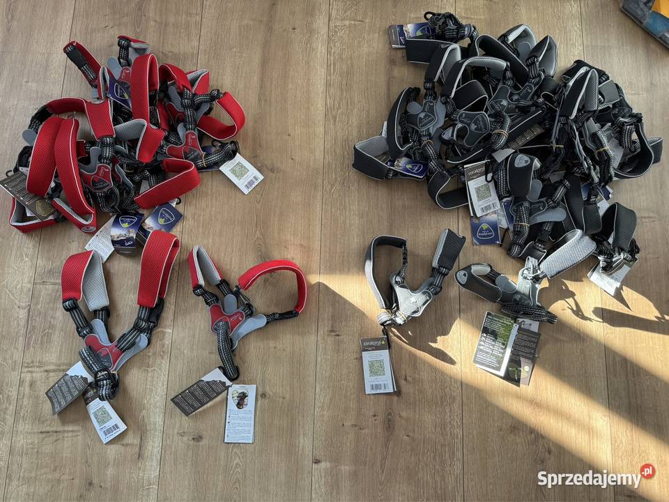 Akcesoria psów różne rozmiary kolory Namysłów